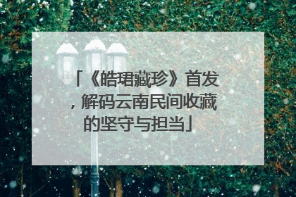 《皓珺藏珍》首发，解码云南民间收藏的坚守与担当