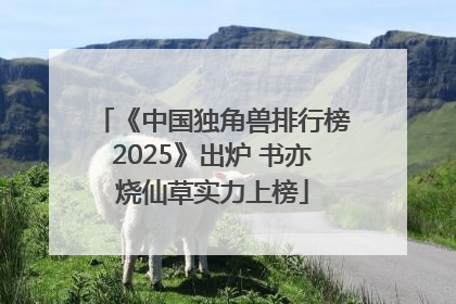 《中国独角兽排行榜2025》出炉 书亦烧仙草实力上榜