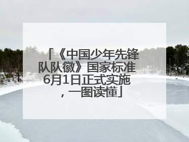《中国少年先锋队队徽》国家标准6月1日正式实施，一图读懂