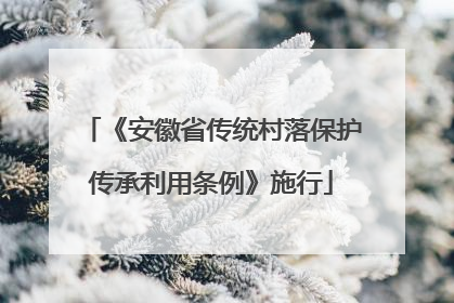 《安徽省传统村落保护传承利用条例》施行