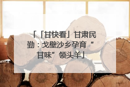 「甘快看」甘肃民勤：戈壁沙乡孕育“甘味”领头羊