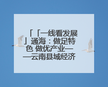 「一线看发展」通海：做足特色 做优产业——云南县域经济样本观察之二