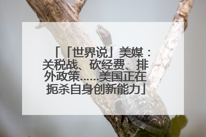 「世界说」美媒：关税战、砍经费、排外政策……美国正在扼杀自身创新能力