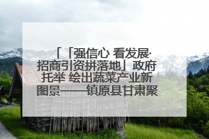 「强信心 看发展·招商引资拼落地」政府托举 绘出蔬菜产业新图景——镇原县甘肃聚广利现代设施蔬菜种植基地见闻