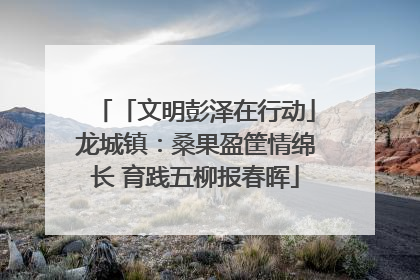 「文明彭泽在行动」龙城镇：桑果盈筐情绵长 育践五柳报春晖