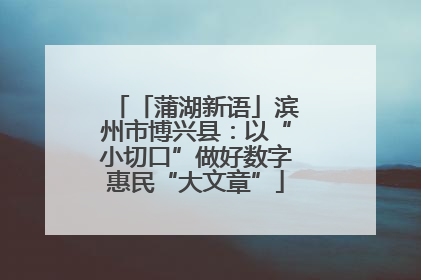 「蒲湖新语」滨州市博兴县：以“小切口”做好数字惠民“大文章”