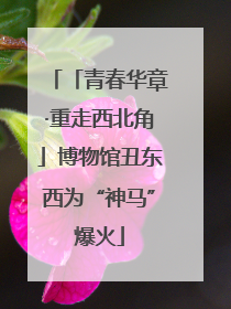 「青春华章·重走西北角」博物馆丑东西为“神马”爆火