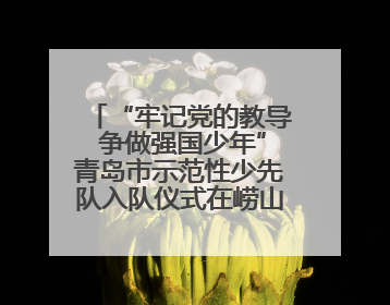 “牢记党的教导 争做强国少年”青岛市示范性少先队入队仪式在崂山区举办