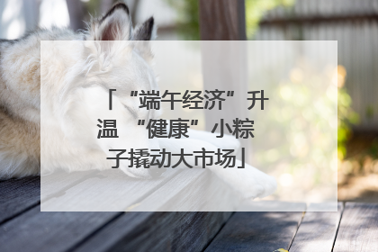“端午经济”升温 “健康”小粽子撬动大市场