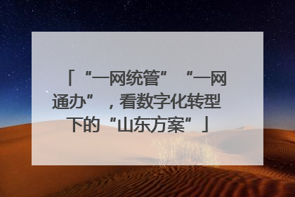 “一网统管”“一网通办”，看数字化转型下的“山东方案”
