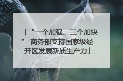 “一个加强、三个加快” 商务部支持国家级经开区发展新质生产力
