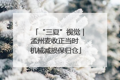 “三夏”视觉｜孟州麦收正当时 机械减损保归仓