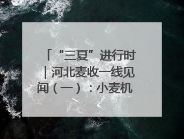 “三夏”进行时｜河北麦收一线见闻（一）：小麦机收减损“竞技” 农机高手麦田“过招”