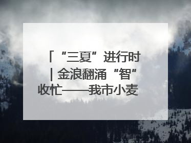 “三夏”进行时｜金浪翻涌“智”收忙——我市小麦开镰收割见闻