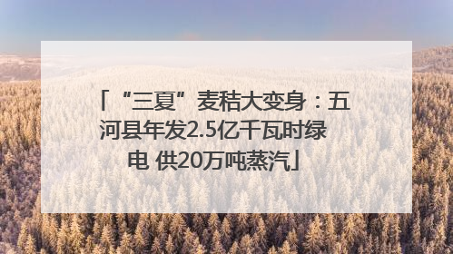 “三夏”麦秸大变身：五河县年发2.5亿千瓦时绿电 供20万吨蒸汽