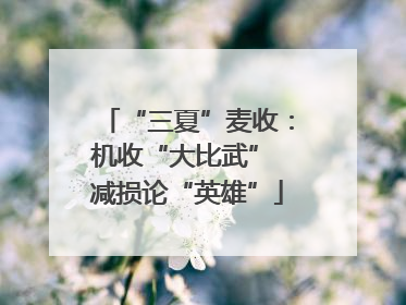 “三夏”麦收：机收“大比武” 减损论“英雄”