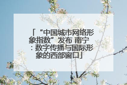 “中国城市网络形象指数”发布 南宁：数字传播与国际形象的西部窗口