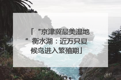 “京津冀最美湿地”衡水湖：近万只夏候鸟进入繁殖期