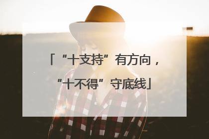 “十支持”有方向，“十不得”守底线