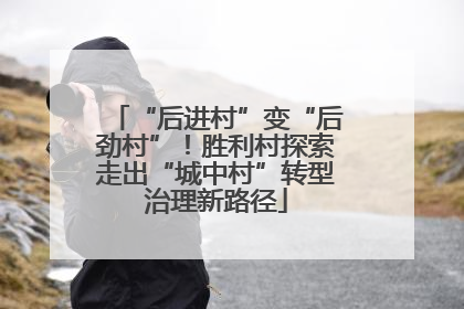 “后进村”变“后劲村”！胜利村探索走出“城中村”转型治理新路径