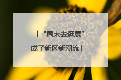 “周末去逛展”成了新区新潮流