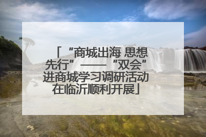 “商城出海 思想先行”——“双会”进商城学习调研活动在临沂顺利开展