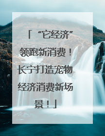 “它经济”领跑新消费！长宁打造宠物经济消费新场景！