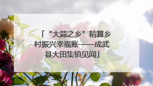 “大蒜之乡”精算乡村振兴幸福账——成武县大田集镇见闻