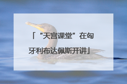 “天宫课堂”在匈牙利布达佩斯开讲