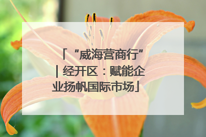 “威海营商行”｜经开区：赋能企业扬帆国际市场