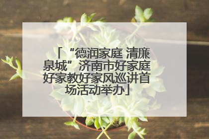 “德润家庭 清廉泉城”济南市好家庭好家教好家风巡讲首场活动举办