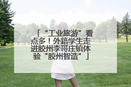 “工业旅游”看点多！外籍学生走进胶州李哥庄镇体验“胶州智造”