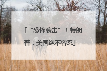 “恐怖袭击”！特朗普：美国绝不容忍