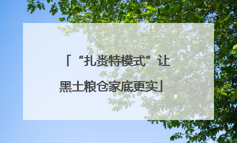 “扎赉特模式”让黑土粮仓家底更实