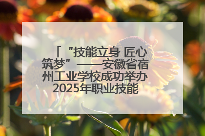 “技能立身 匠心筑梦”——安徽省宿州工业学校成功举办2025年职业技能活动周各项活动