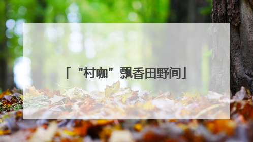 “村咖”飘香田野间