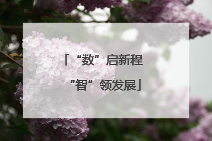 “数”启新程 “智”领发展