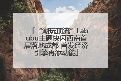 “潮玩顶流”Labubu主题快闪西南首展落地成都 首发经济引擎再添动能