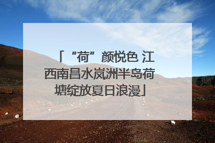 “荷”颜悦色 江西南昌水岚洲半岛荷塘绽放夏日浪漫