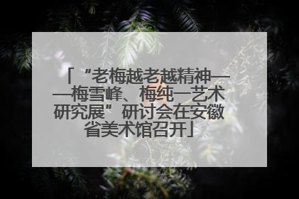 “老梅越老越精神——梅雪峰、梅纯一艺术研究展”研讨会在安徽省美术馆召开