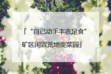 “自己动手丰衣足食”矿区闲置荒地变菜园