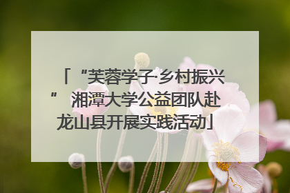 “芙蓉学子·乡村振兴” 湘潭大学公益团队赴龙山县开展实践活动