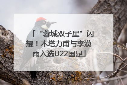 “蓉城双子星”闪耀！木塔力甫与李漠雨入选U22国足