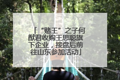 “赌王”之子何猷君收购王思聪旗下企业，接盘后前往山东参加活动