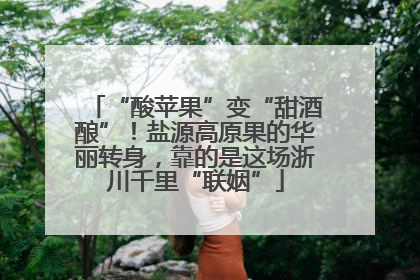 “酸苹果”变“甜酒酿”！盐源高原果的华丽转身，靠的是这场浙川千里“联姻”