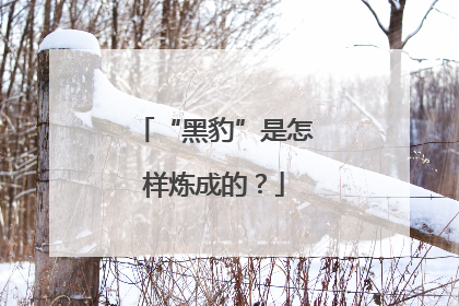 “黑豹”是怎样炼成的？