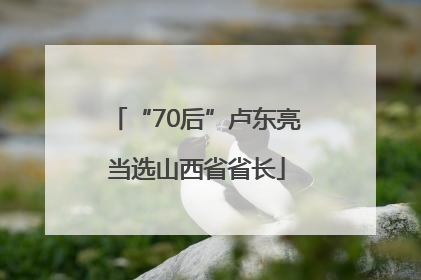 “70后”卢东亮当选山西省省长