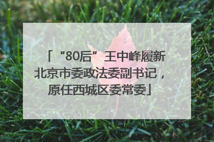 “80后”王中峰履新北京市委政法委副书记，原任西城区委常委
