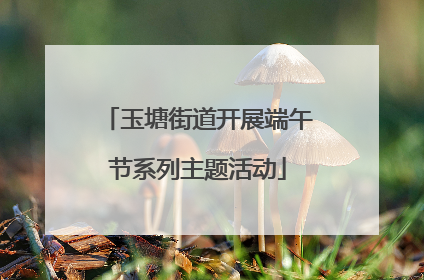 玉塘街道开展端午节系列主题活动