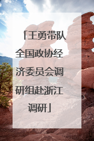 王勇带队全国政协经济委员会调研组赴浙江调研